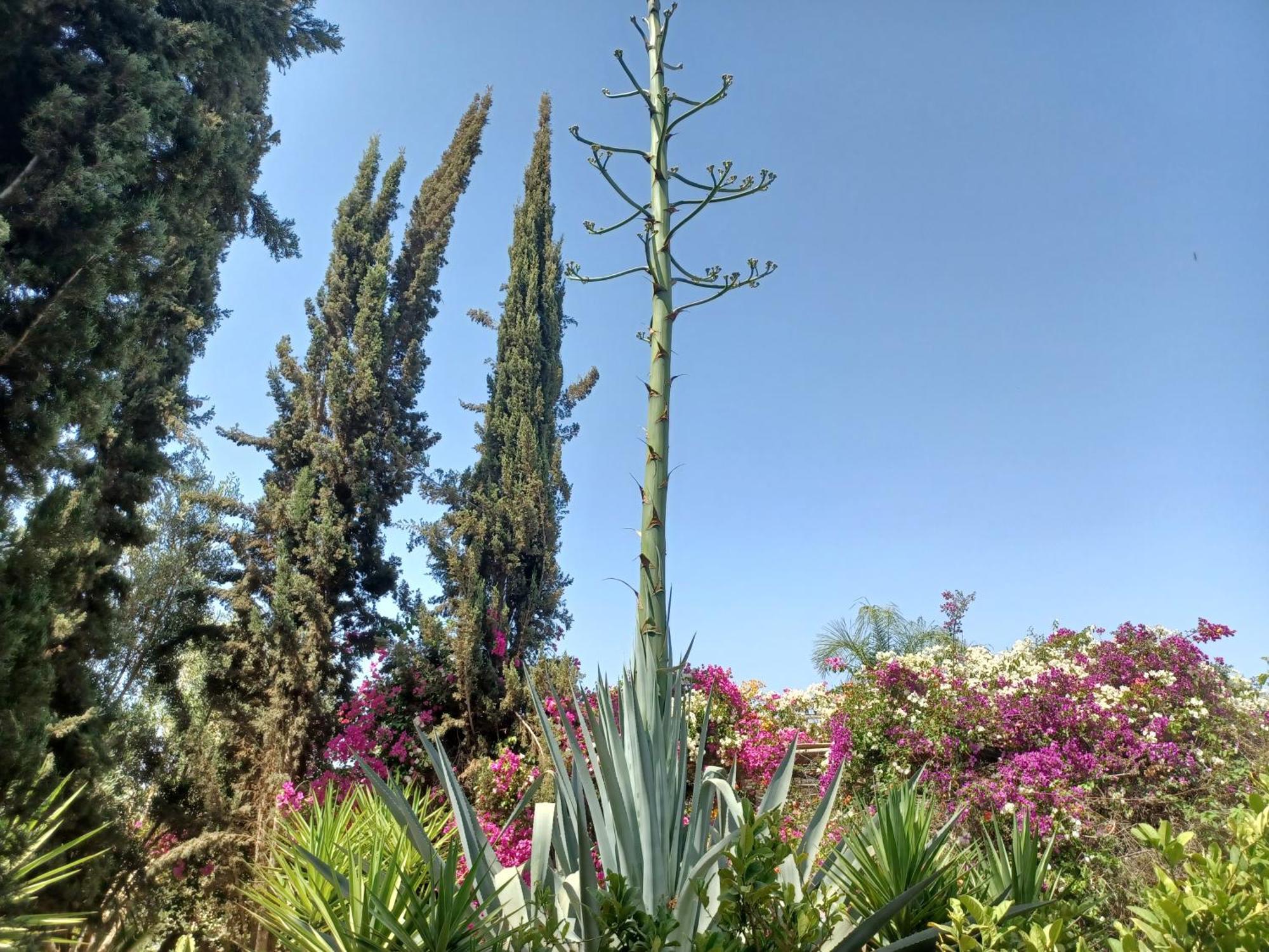 Riad-Villa Agadir-Taroudant Sidi Boumoussa Экстерьер фото
